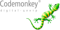 Codemonkey3dx